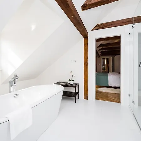 Daire Three-bedroom Karmelitska Prag